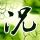 骑士2比2活塞